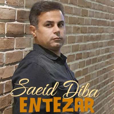 سعید دیبا انتظار